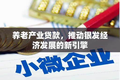 昂昂溪养老产业贷款，推动银发经济发展的新引擎