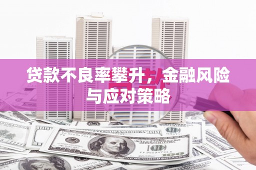昂昂溪贷款不良率攀升，金融风险与应对策略