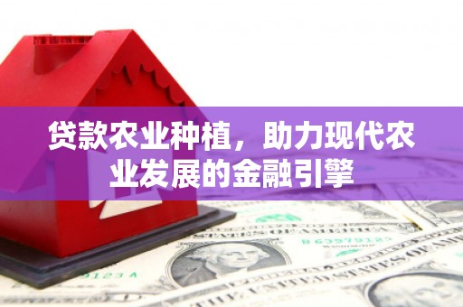 昂昂溪贷款农业种植，助力现代农业发展的金融引擎
