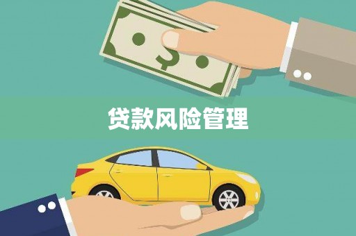 昂昂溪贷款风险管理