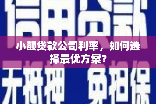 昂昂溪小额贷款公司利率，如何选择最优方案？
