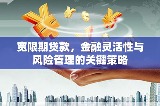 昂昂溪宽限期贷款，金融灵活性与风险管理的关键策略