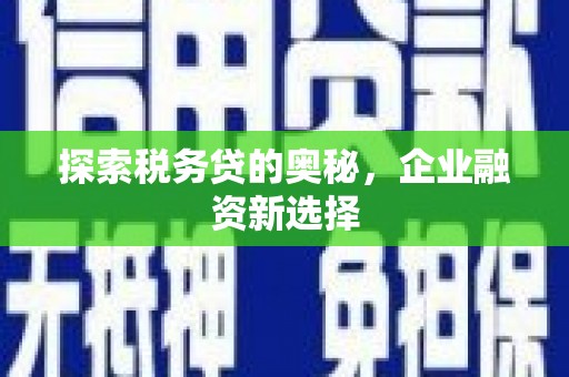 昂昂溪探索税务贷的奥秘，企业融资新选择