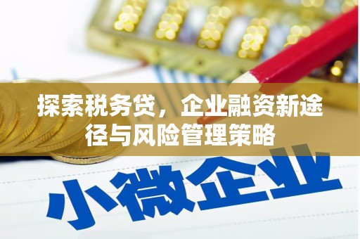 昂昂溪探索税务贷，企业融资新途径与风险管理策略