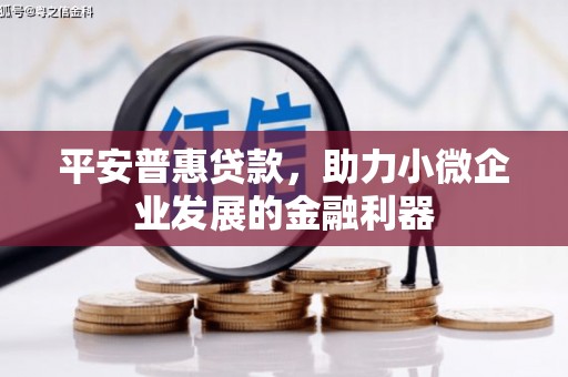 昂昂溪平安普惠贷款，助力小微企业发展的金融利器