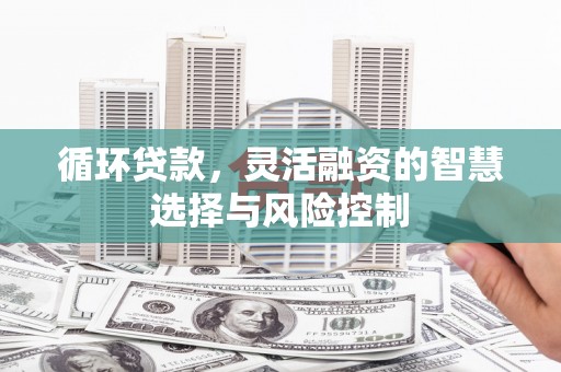 昂昂溪循环贷款，灵活融资的智慧选择与风险控制