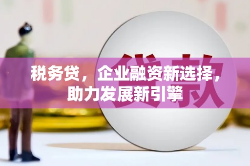 昂昂溪税务贷，企业融资新选择，助力发展新引擎