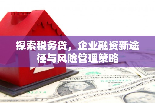 昂昂溪探索税务贷，企业融资新途径与风险管理策略