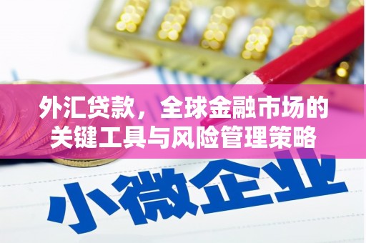 昂昂溪外汇贷款，全球金融市场的关键工具与风险管理策略