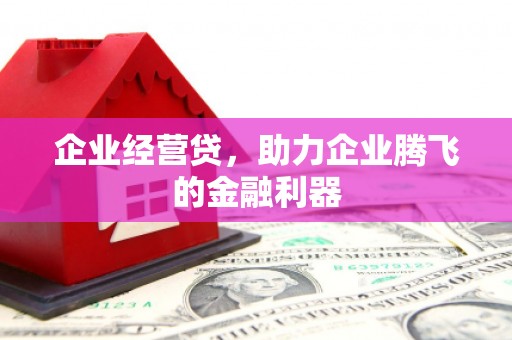 昂昂溪企业经营贷，助力企业腾飞的金融利器
