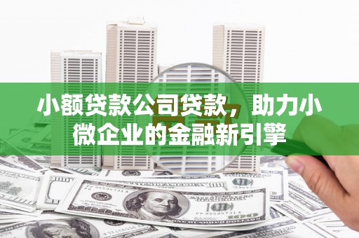 昂昂溪小额贷款公司贷款，助力小微企业的金融新引擎