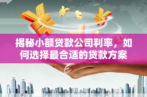 昂昂溪揭秘小额贷款公司利率，如何选择最合适的贷款方案