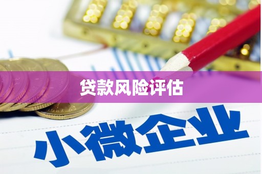 昂昂溪贷款风险评估