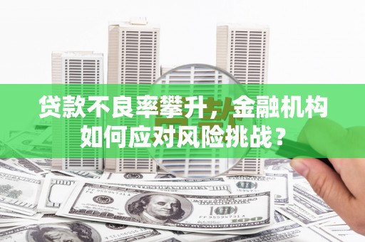 昂昂溪贷款不良率攀升，金融机构如何应对风险挑战？