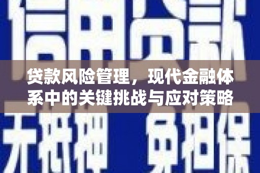 昂昂溪贷款风险管理，现代金融体系中的关键挑战与应对策略
