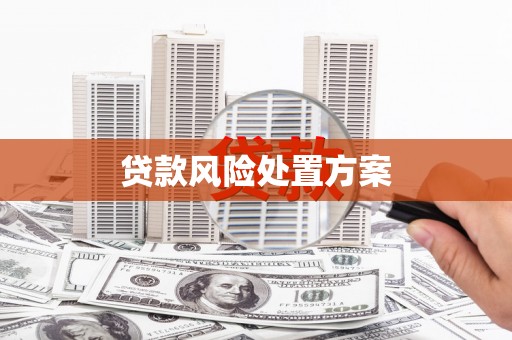 昂昂溪贷款风险处置方案