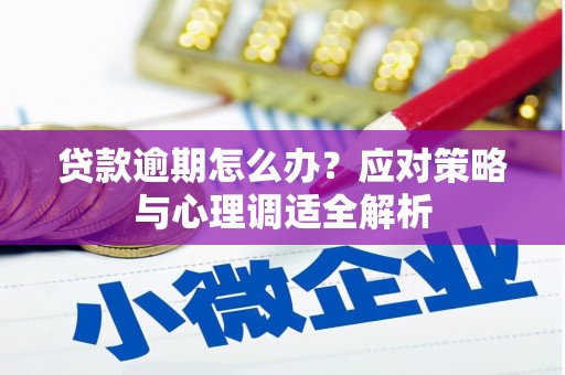昂昂溪贷款逾期怎么办？应对策略与心理调适全解析