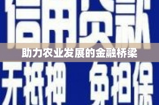 昂昂溪助力农业发展的金融桥梁