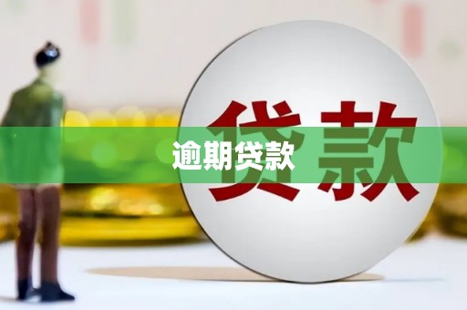 昂昂溪逾期贷款