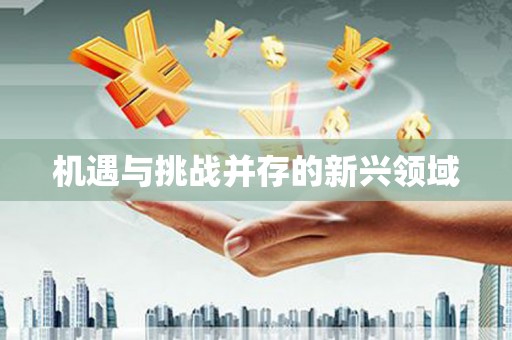 昂昂溪机遇与挑战并存的新兴领域