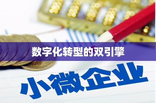 昂昂溪数字化转型的双引擎