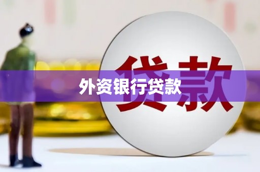 昂昂溪外资银行贷款