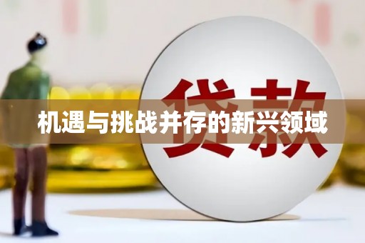 昂昂溪机遇与挑战并存的新兴领域