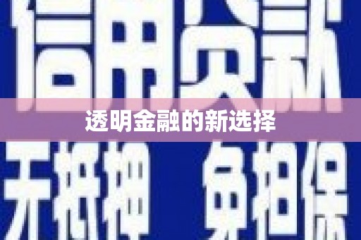 昂昂溪透明金融的新选择