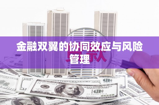 昂昂溪金融双翼的协同效应与风险管理