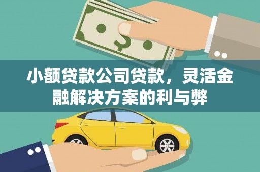 昂昂溪小额贷款公司贷款，灵活金融解决方案的利与弊